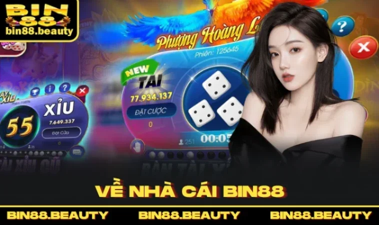 Về Nhà cái BIN88